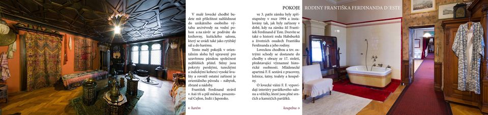 Stěny jsou pokryty perskými, tureckými a indickými koberci vysoké kva lity a rovněž ostatní zařízení je orientálního původu nábytek, zbraně a nádoby.