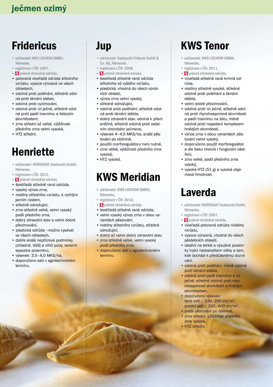 Henriette udržovatel: NORDSAAT Saatzucht GmbH, registrace v ČR: 2011, šestiřadá středně raná odrůda, vysoký výnos zrna, rostliny středního vzrůstu, s rychlým jarním růstem, středně odnožující, zrno