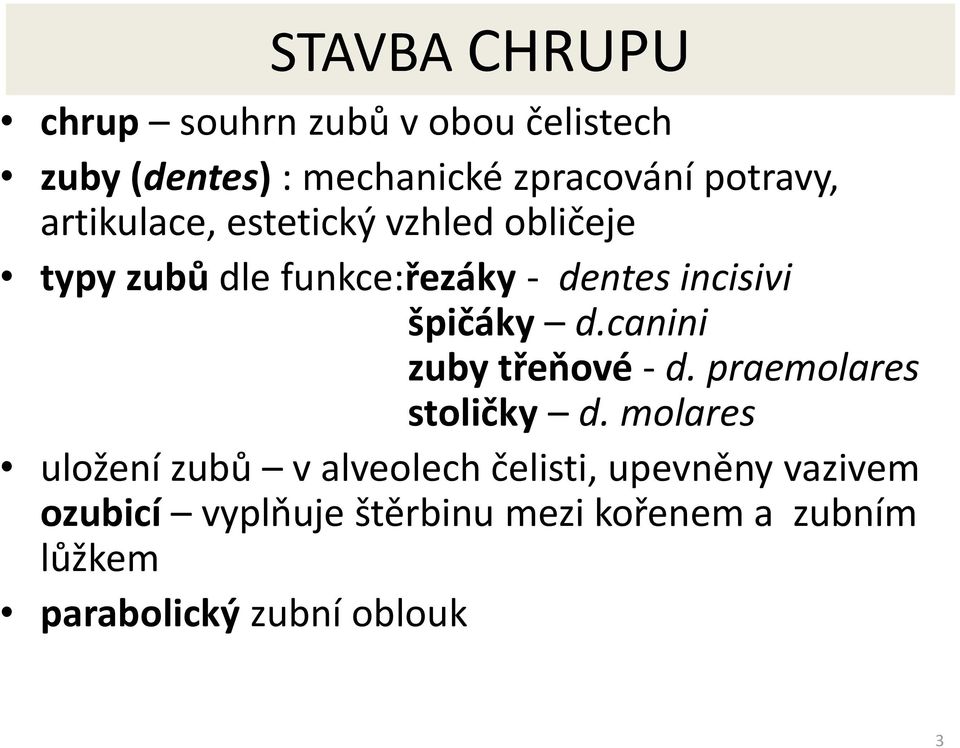 špičáky d.canini zuby třeňové - d. praemolares stoličky d.