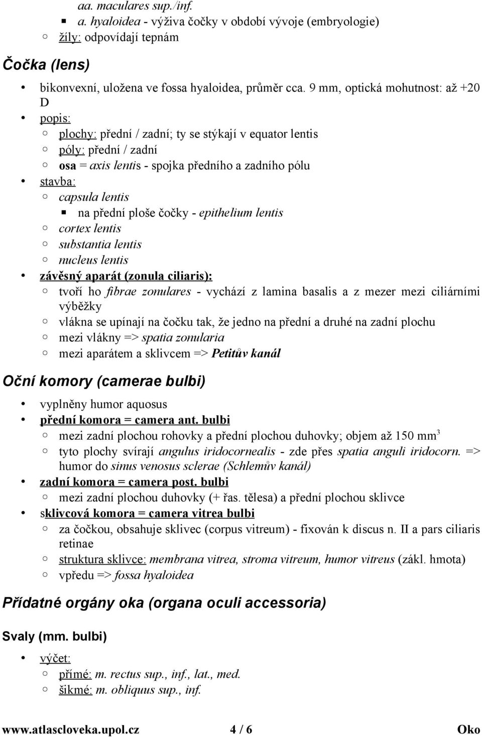 přední ploše čočky - epithelium lentis cortex lentis substantia lentis nucleus lentis závěsný aparát (zonula ciliaris): tvoří ho fibrae zonulares - vychází z lamina basalis a z mezer mezi ciliárními