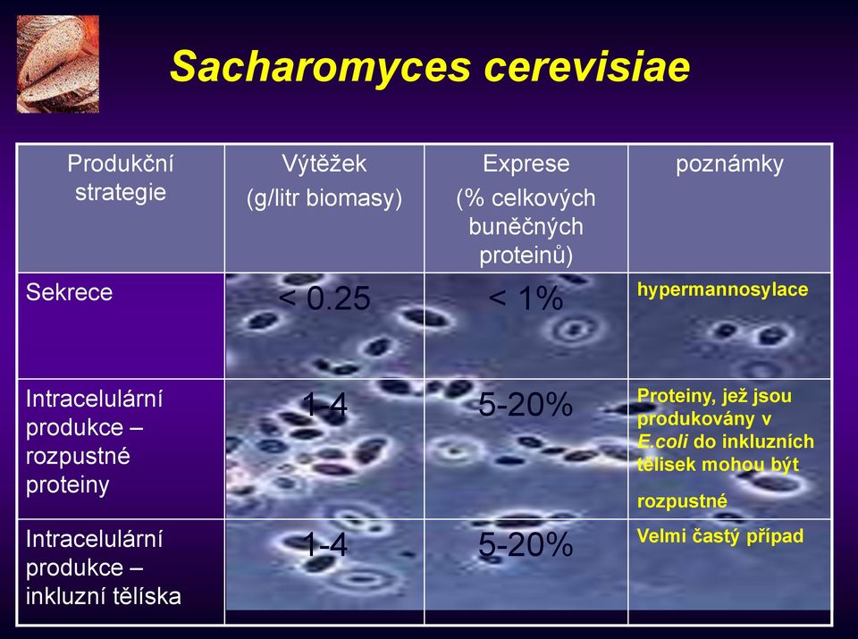 25 < 1% poznámky hypermannosylace Intracelulární produkce rozpustné proteiny