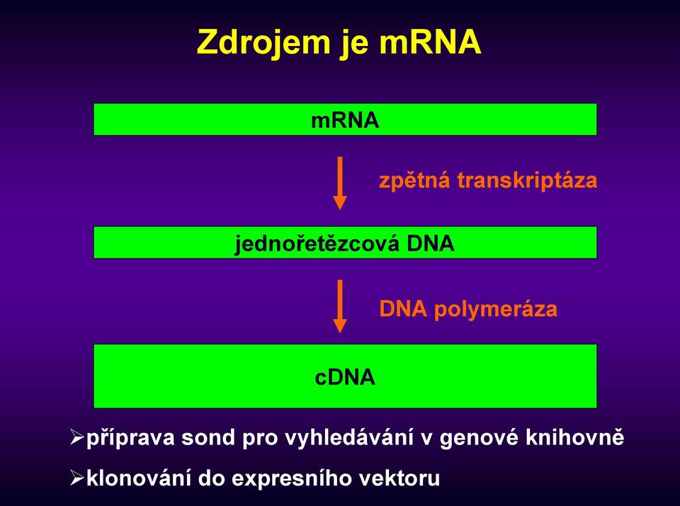 polymeráza cdna příprava sond pro