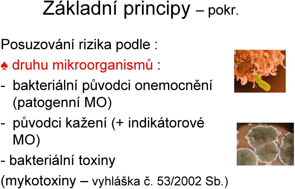 bakteriální původci onemocnění (patogenní MO) -