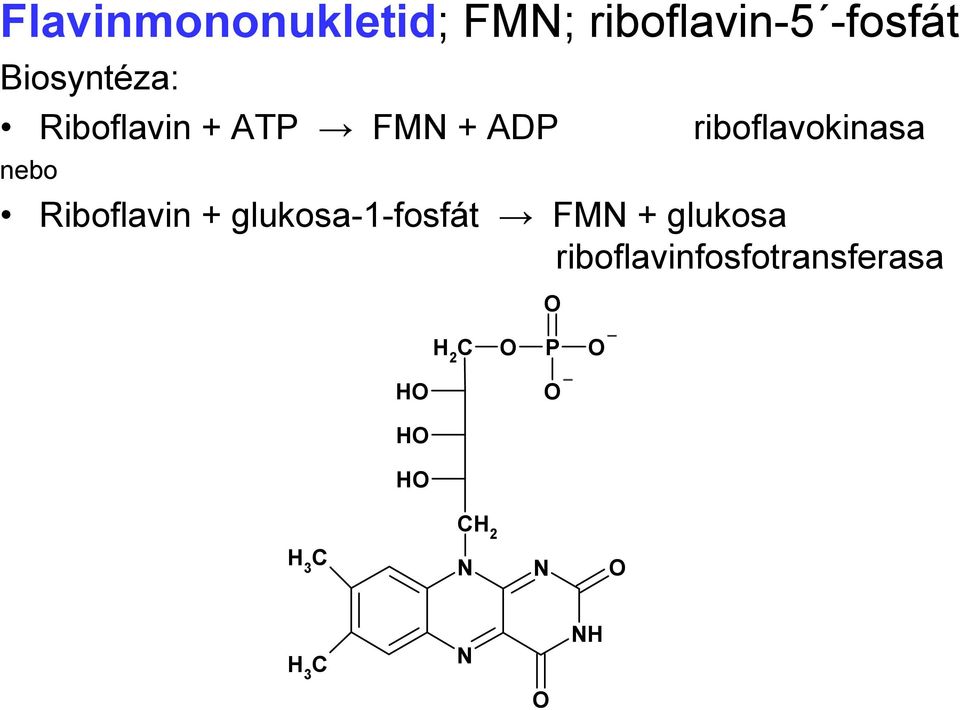 riboflavokinasa nebo Riboflavin +