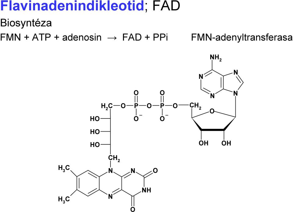 + adenosin FAD + PPi