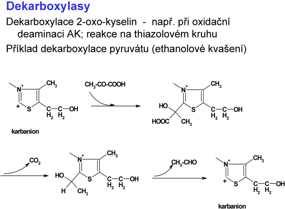 Příklad dekarboxylace pyruvátu (ethanolové kvašení) +
