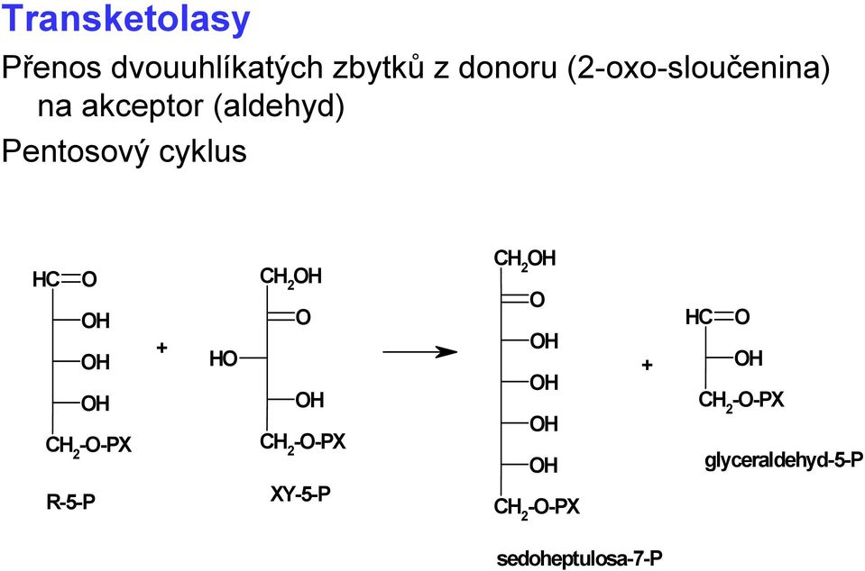 (aldehyd) Pentosový cyklus --PX + --PX + --PX