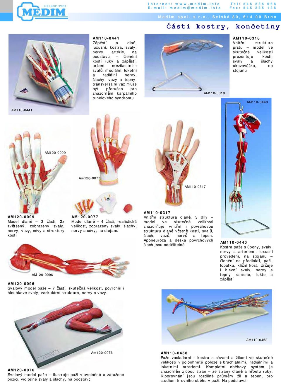 ukazováčku, na stojanu AM110-0440 AM110-0441 AM120-0099 Am120-0077 AM110-0317 AM120-0099 Model dlaně 3 části, 2x zvětšený, zobrazeny svaly, nervy, vazy, cévy a struktury kostí AM120-0096 AM120-0077