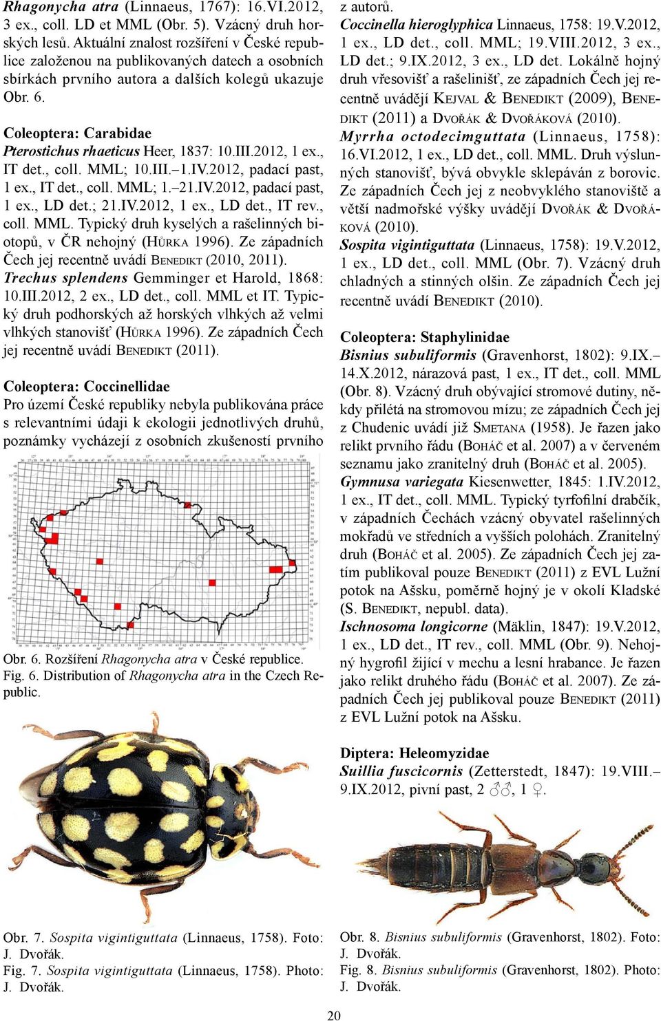 Coleoptera: Carabidae Pterostichus rhaeticus Heer, 1837: 10.III.2012, 1 ex., IT det., coll. MML; 10.III. 1.IV.2012, padací past, 1 ex., IT det., coll. MML; 1. 21.IV.2012, padací past, 1 ex., LD det.
