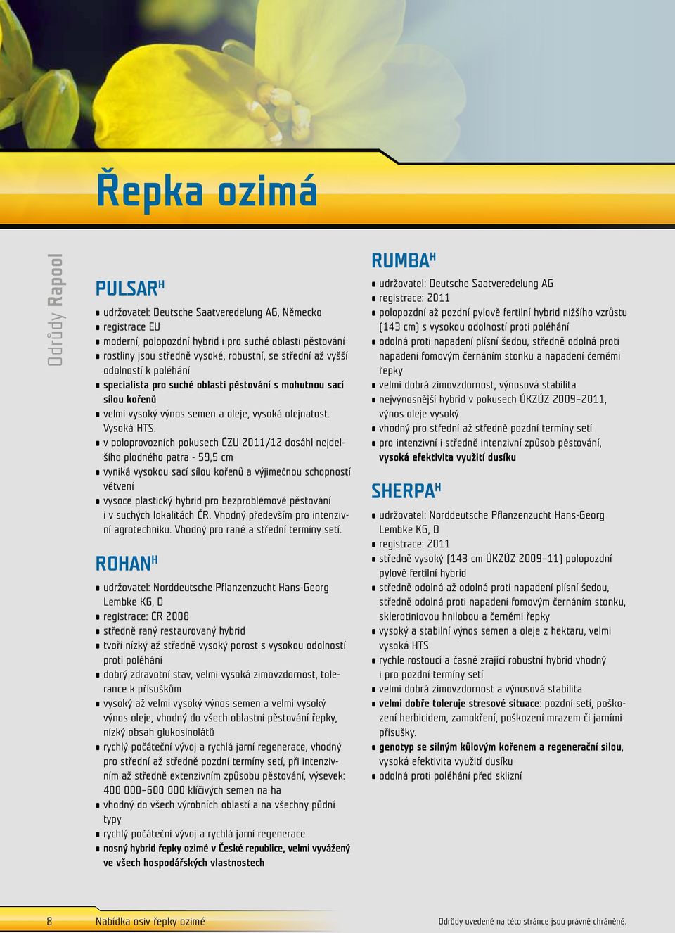 v poloprovozních pokusech ČZU 2011/12 dosáhl nejdelšího plodného patra - 59,5 cm vyniká vysokou sací sílou kořenů a výjimečnou schopností větvení vysoce plastický hybrid pro bezproblémové pěstování i