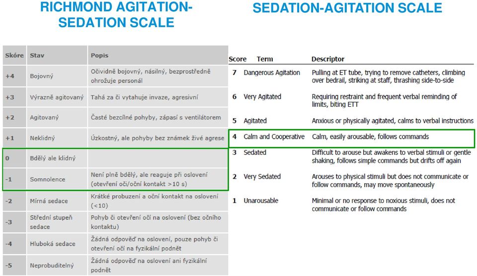 SEDATION-AGITATION