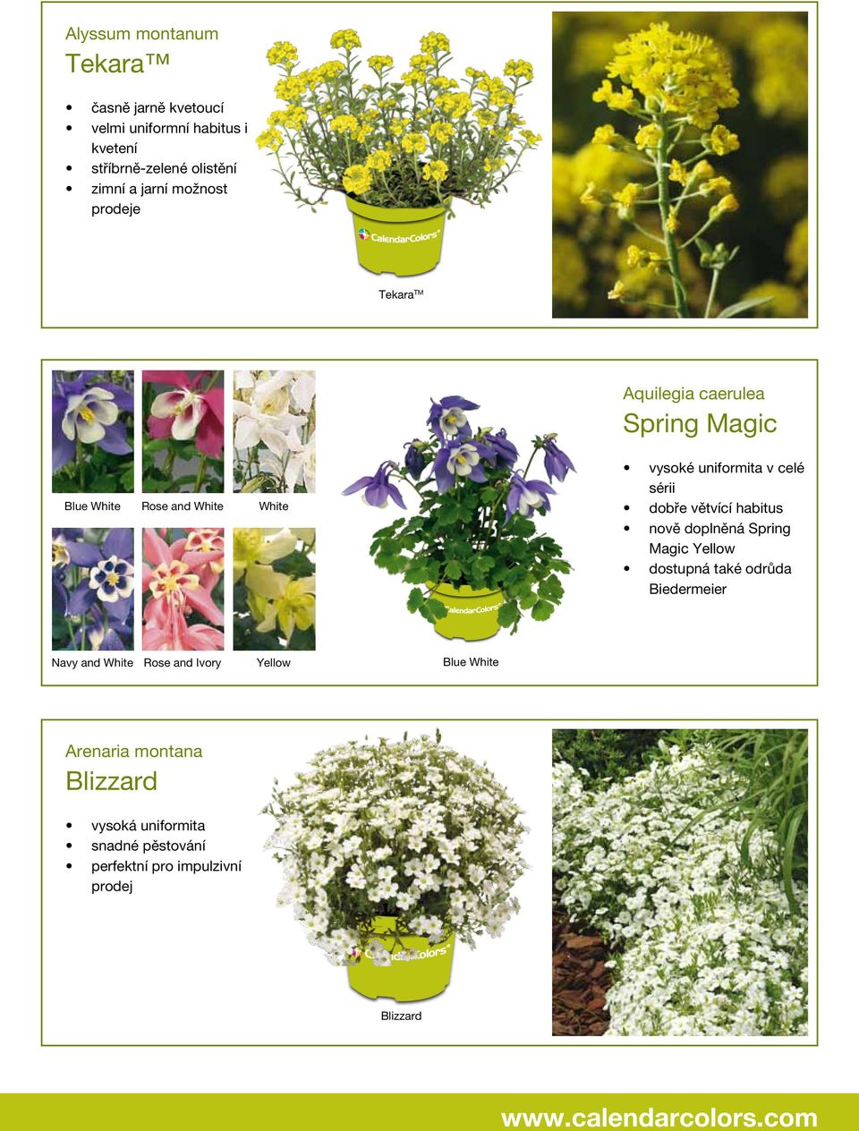 sérii dobře větvící habitus nově doplněná Spring Magic Yellow dostupná také odrůda Biedermeier Navy and White Rose and