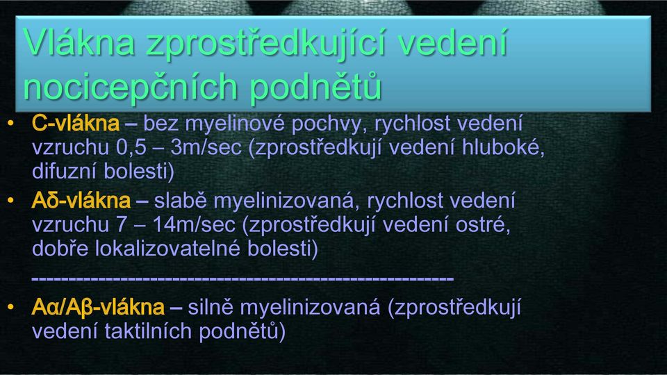 vzruchu 7 14m/sec (zprostředkují vedení ostré, dobře lokalizovatelné bolesti)