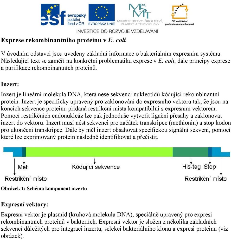 Inzert je specificky upravený pro zaklonování do expresního vektoru tak, že jsou na koncích sekvence proteinu přidaná restrikční místa kompatibilní s expresním vektorem.