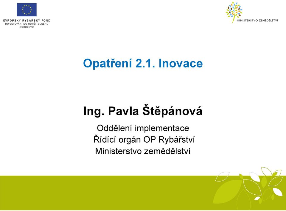 implementace Řídící orgán