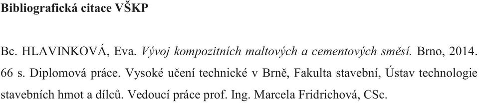 Diplomová práce.