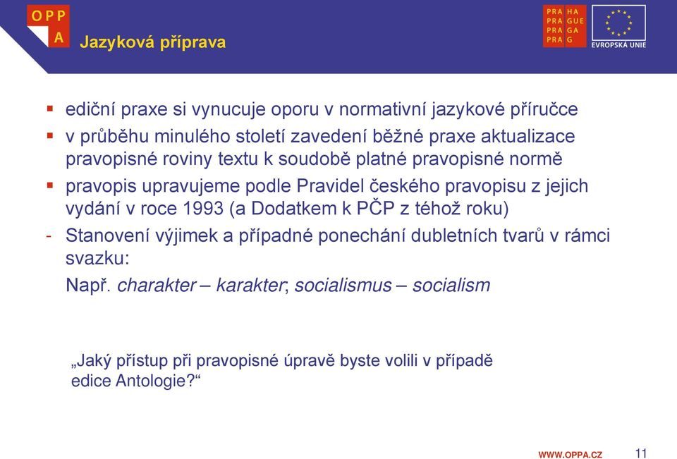 jejich vydání v roce 1993 (a Dodatkem k PČP z téhož roku) - Stanovení výjimek a případné ponechání dubletních tvarů v rámci