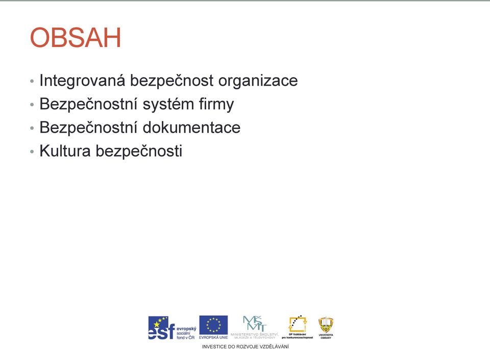 Bezpečnostní systém firmy
