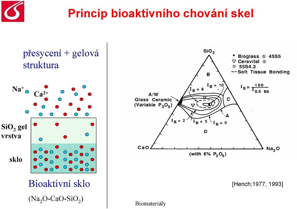 2+ SiO 2 gel vrstva sklo Bioaktivní