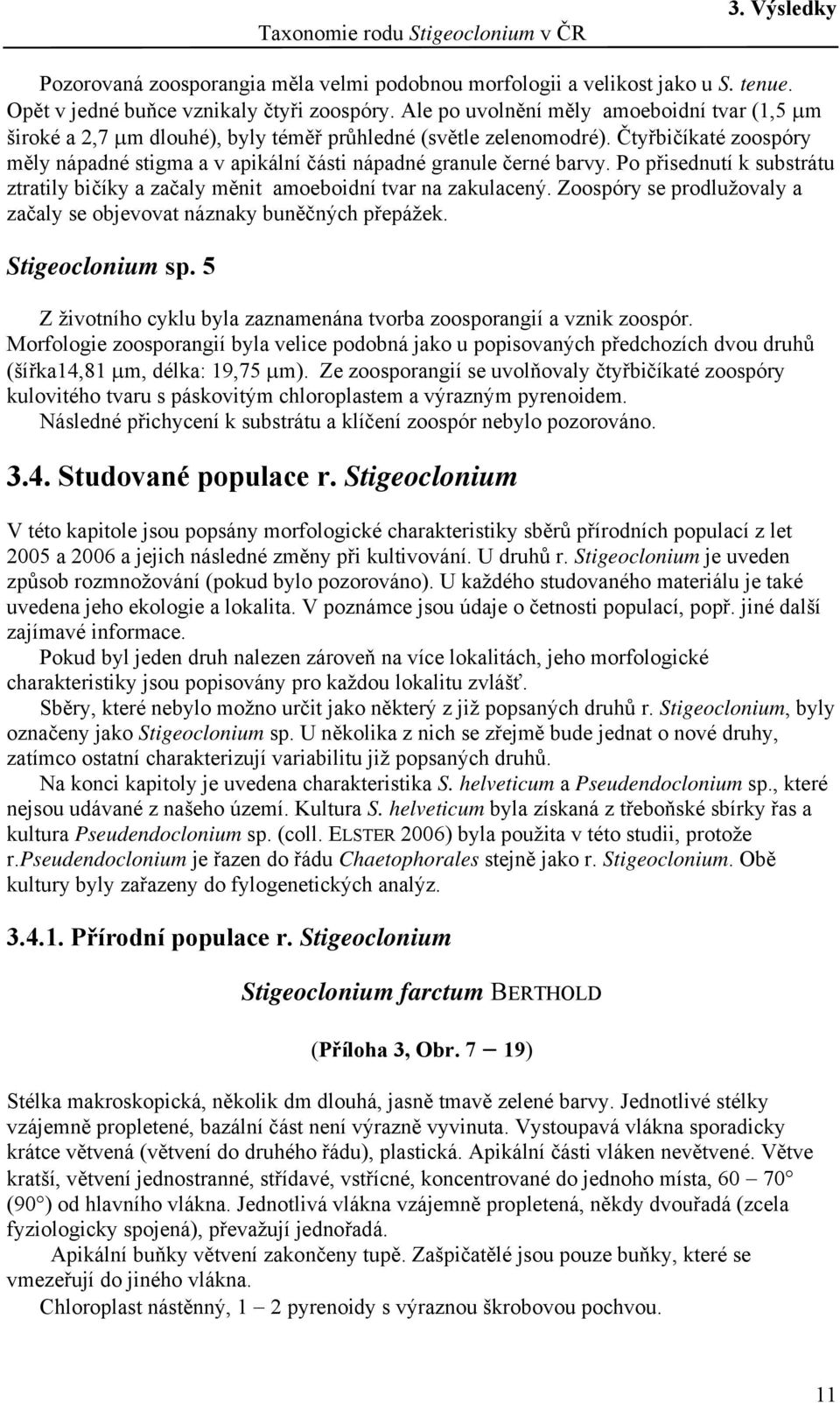 Čtyřbičíkaté zoospóry měly nápadné stigma a v apikální části nápadné granule černé barvy. Po přisednutí k substrátu ztratily bičíky a začaly měnit amoeboidní tvar na zakulacený.