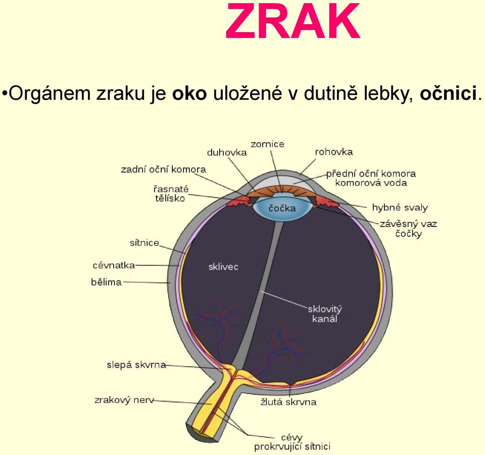 uložené v