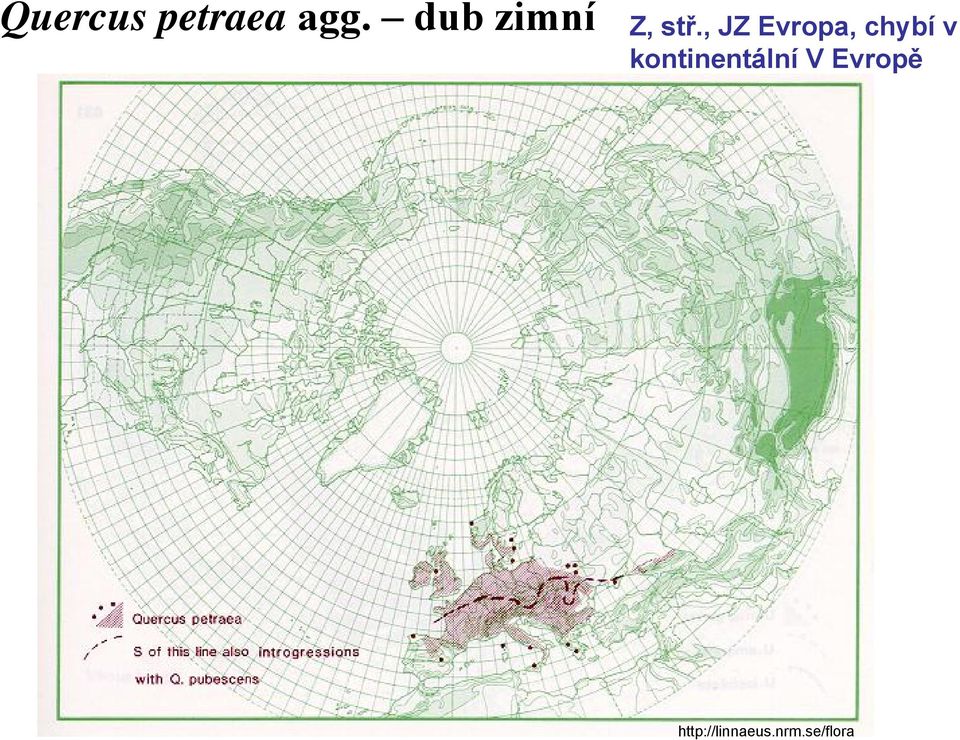 , JZ Evropa, chybí v