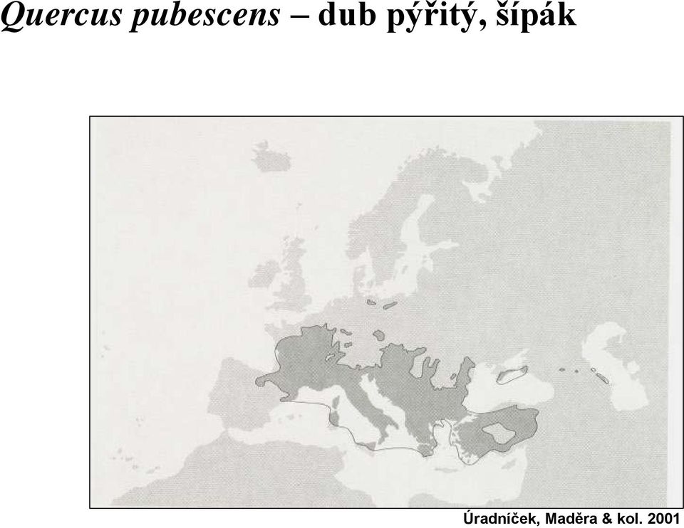 pýřitý, šípák