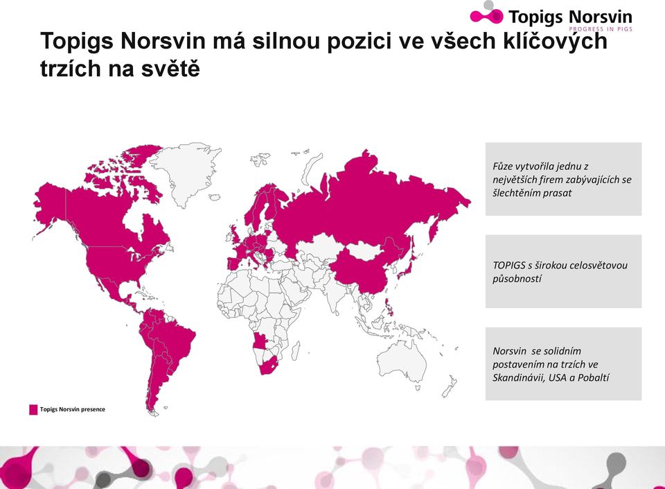 šlechtěním prasat TOPIGS s širokou celosvětovou působností se