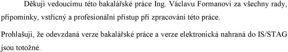profesionální přístup při zpracování této práce.