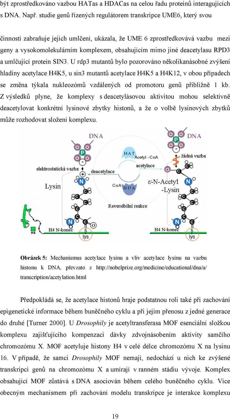 jiné deacetylasu RPD3 a umlčující protein SIN3.
