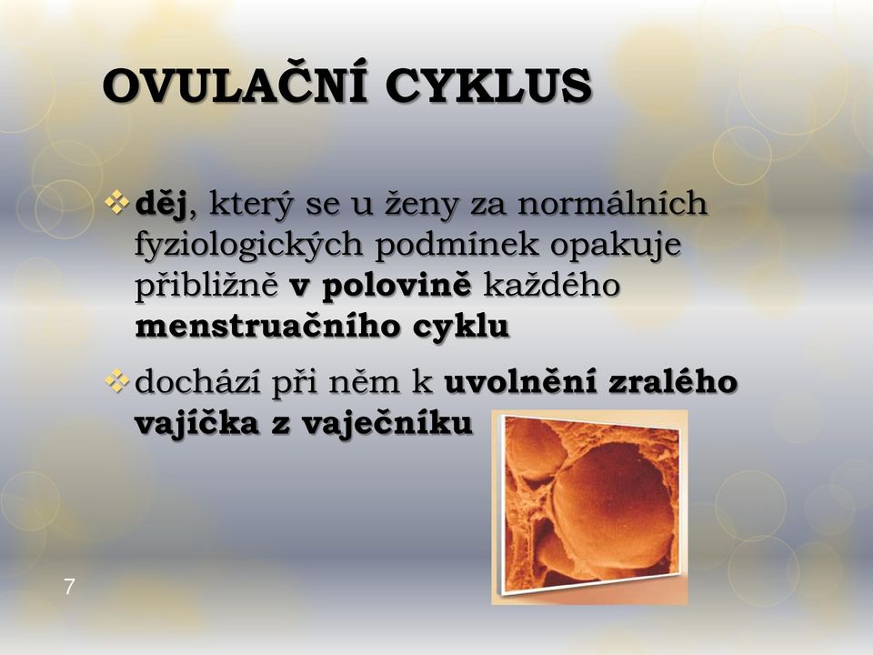 přibližně v polovině každého menstruačního