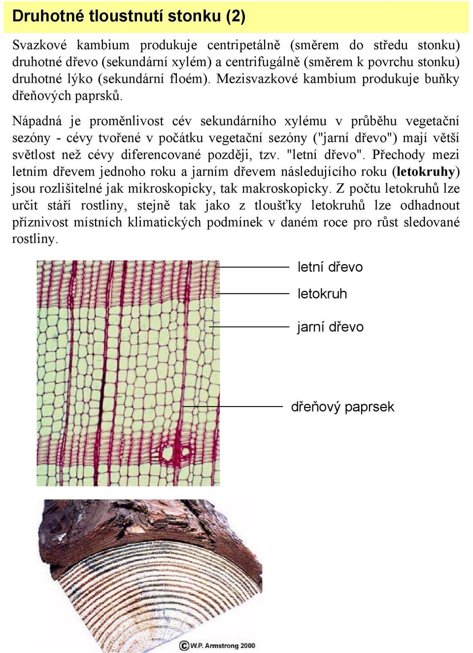 Nápadná je proměnlivost cév sekundárního xylému v průběhu vegetační sezóny - cévy tvořené v počátku vegetační sezóny ("jarní dřevo") mají větší světlost než cévy diferencované později, tzv.