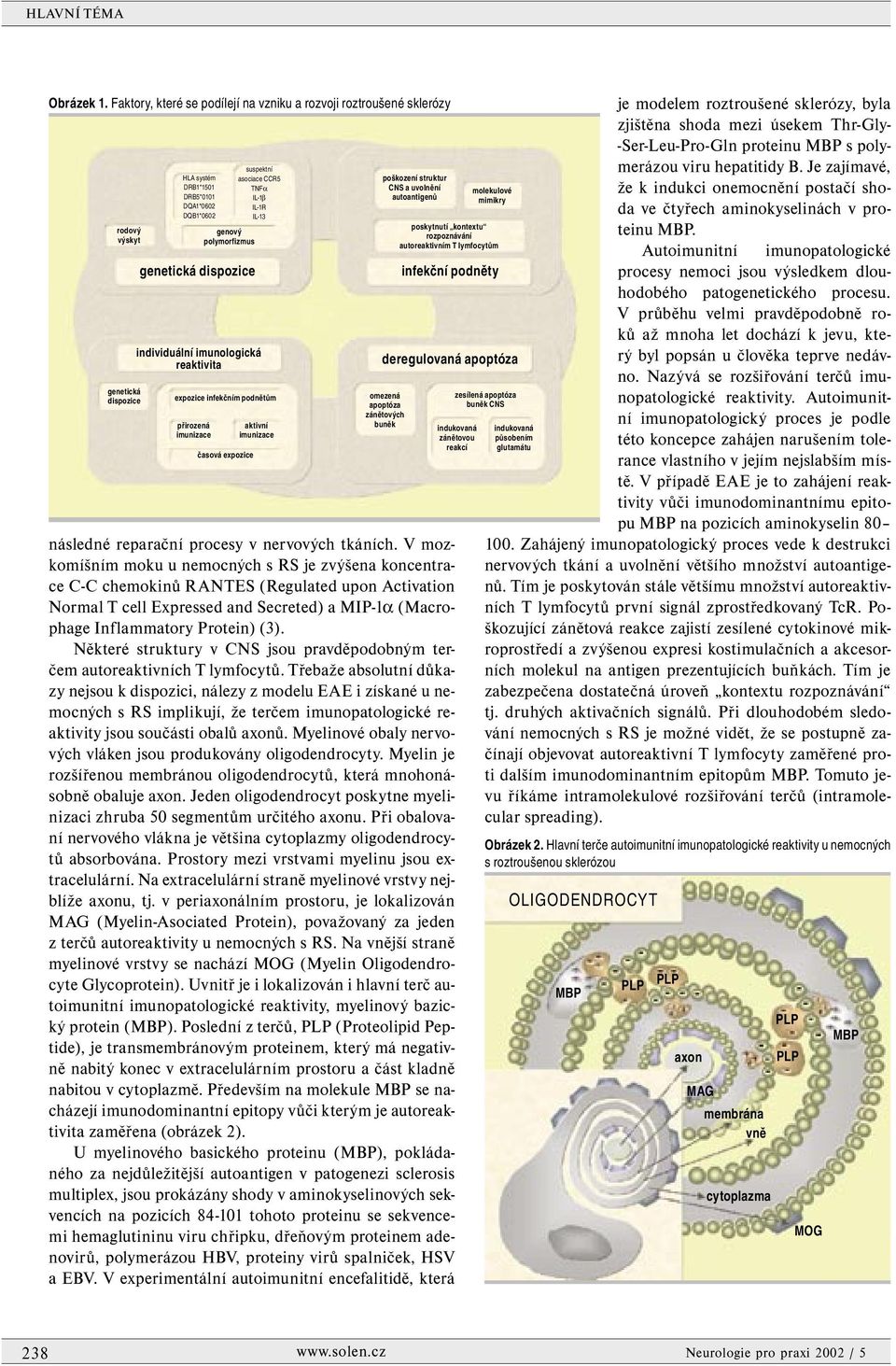 suspektní asociace CCR5 TNFα IL-1β IL-1R IL-13 individuální imunologická reaktivita expozice infekčním podnětům přirozená imunizace časová expozice aktivní imunizace poškození struktur CNS a uvolnění