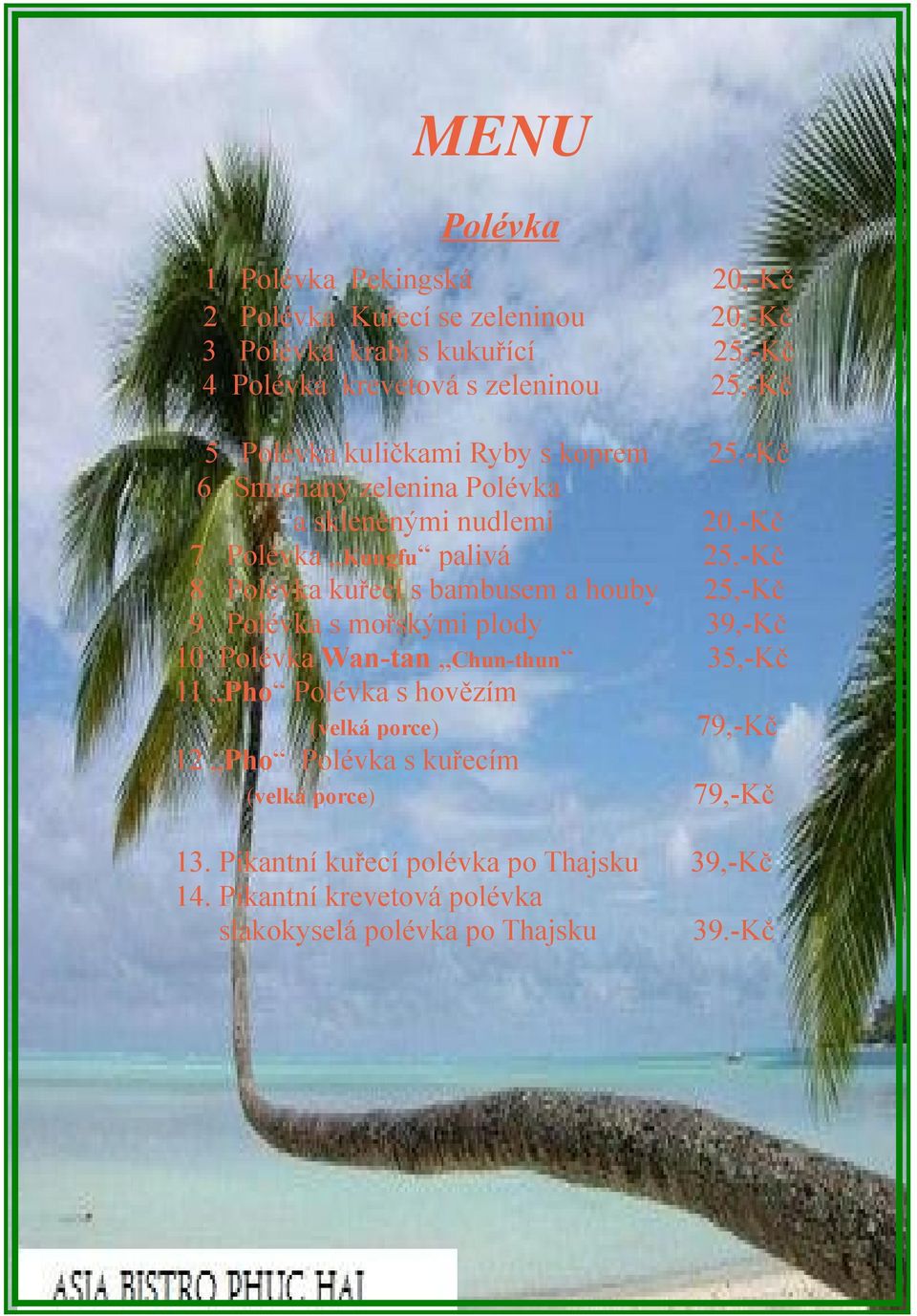 bambusem a houby 25,-Kč 9 Polévka s mořskými plody 39,-Kč 10 Polévka Wan-tan Chun-thun 35,-Kč 11 Pho Polévka s hovězím (velká porce) 12 Pho Polévka s