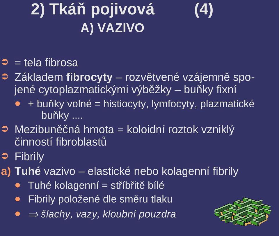 .. Mezibuněčná hmota = koloidní roztok vzniklý činností fibroblastů Fibrily a) Tuhé vazivo elastické