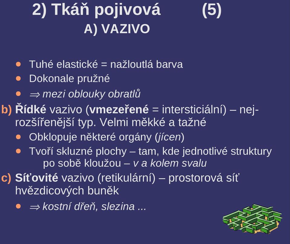 Velmi měkké a tažné Obklopuje některé orgány (jícen) Tvoří skluzné plochy tam, kde jednotlivé