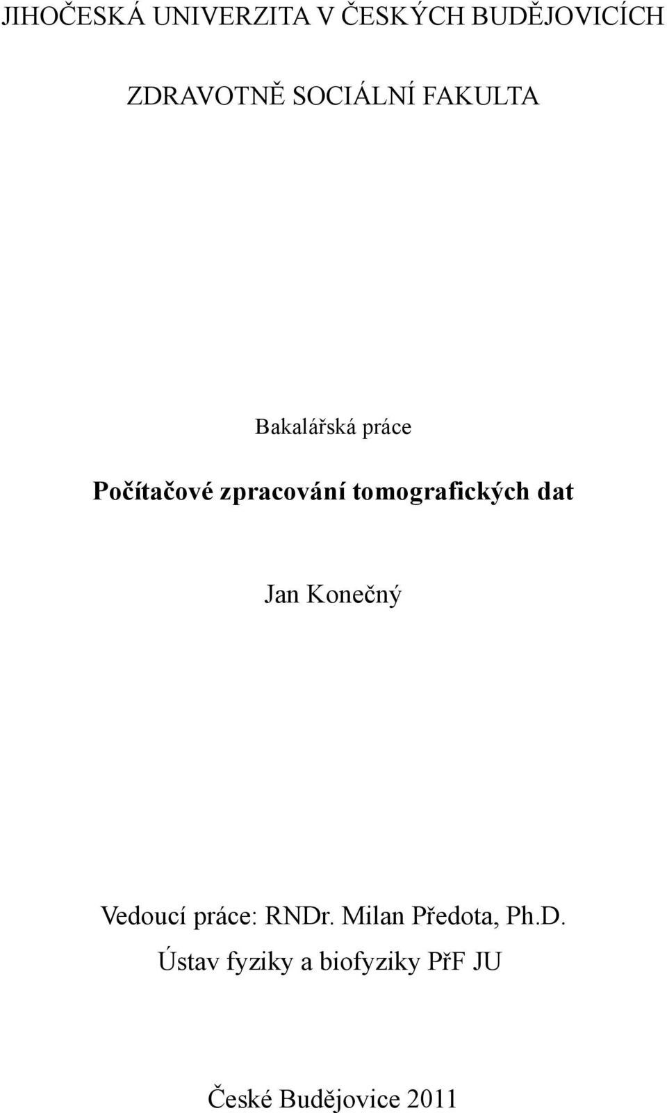 tomografických dat Jan Konečný Vedoucí práce: RNDr.