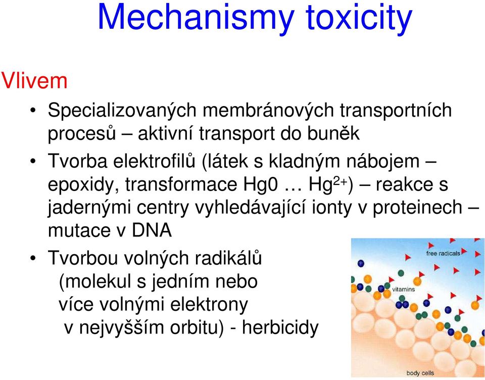 Hg 2+ ) reakce s jadernými centry vyhledávající ionty v proteinech mutace v DNA Tvorbou