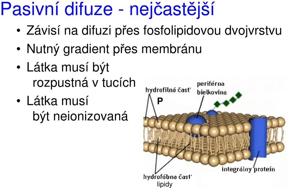 gradient přes membránu Látka musí být