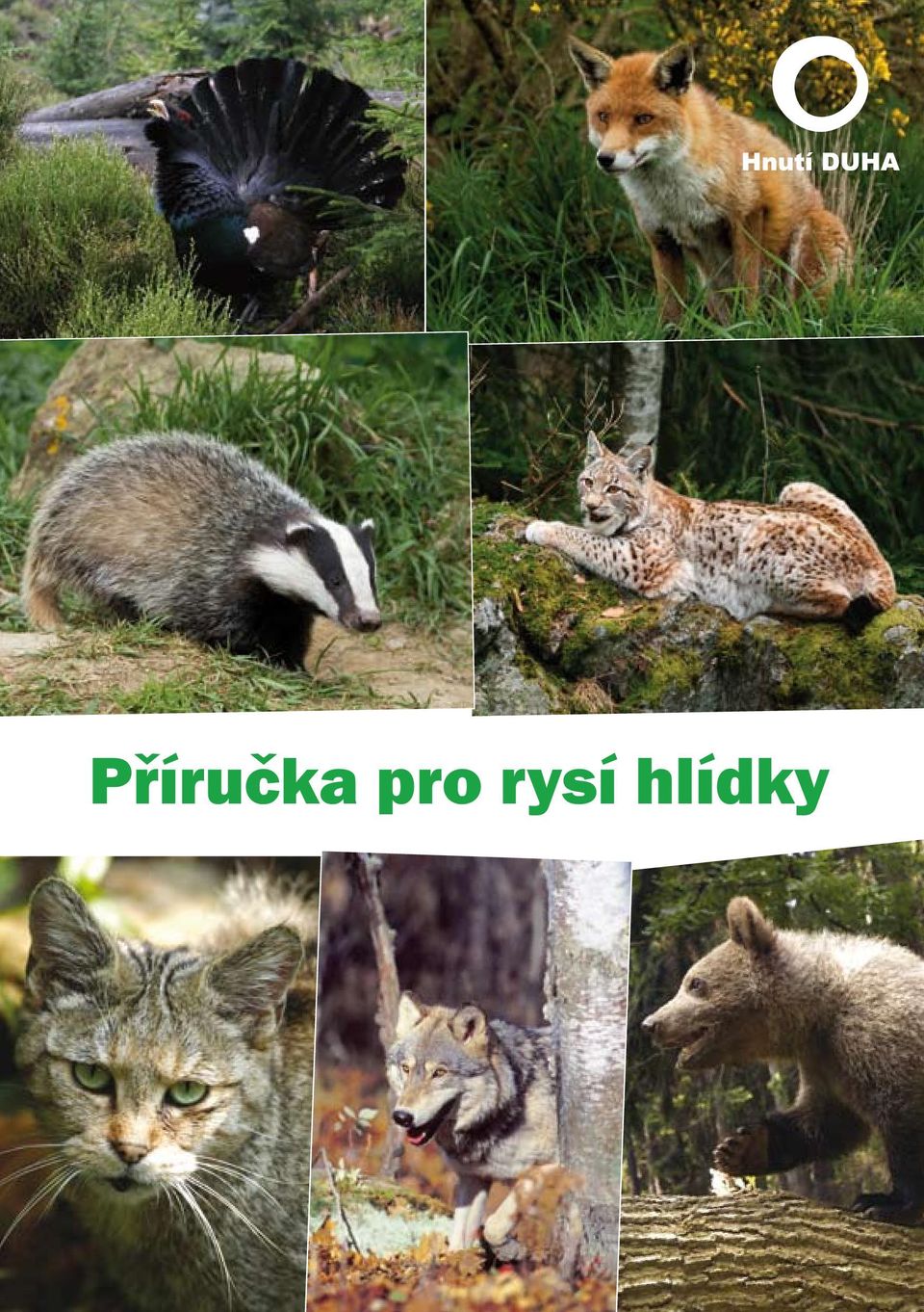 hlídky