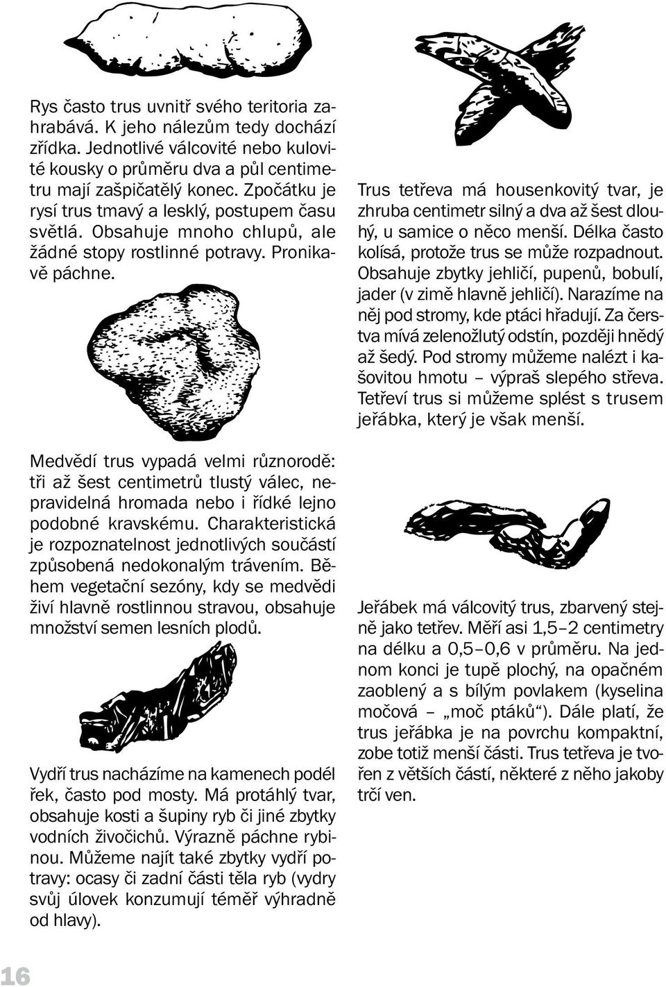 Medvědí trus vypadá velmi různorodě: tři až šest centimetrů tlustý válec, nepravidelná hromada nebo i řídké lejno podobné kravskému.