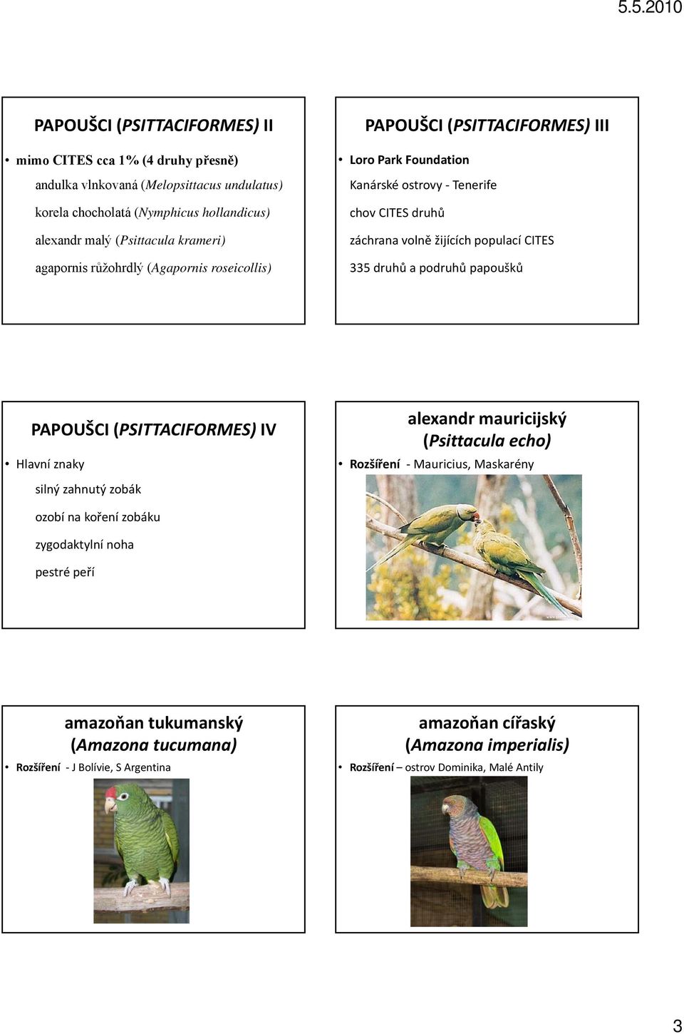CITES 335 druhů a podruhů papoušků PAPOUŠCI (PSITTACIFORMES) IV Hlavní znaky silný zahnutý zobák ozobí na koření zobáku zygodaktylní noha pestré peří alexandr mauricijský