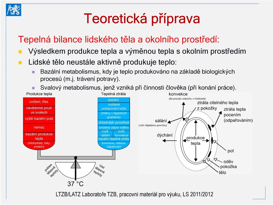 produkuje teplo: Bazální metabolismus, kdy je teplo produkováno na základě biologických