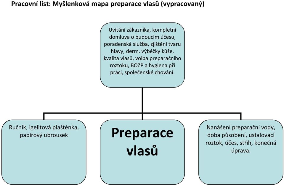 výběžky kůže, kvalita vlasů, volba preparačního roztoku, BOZP a hygiena při práci, společenské chování.