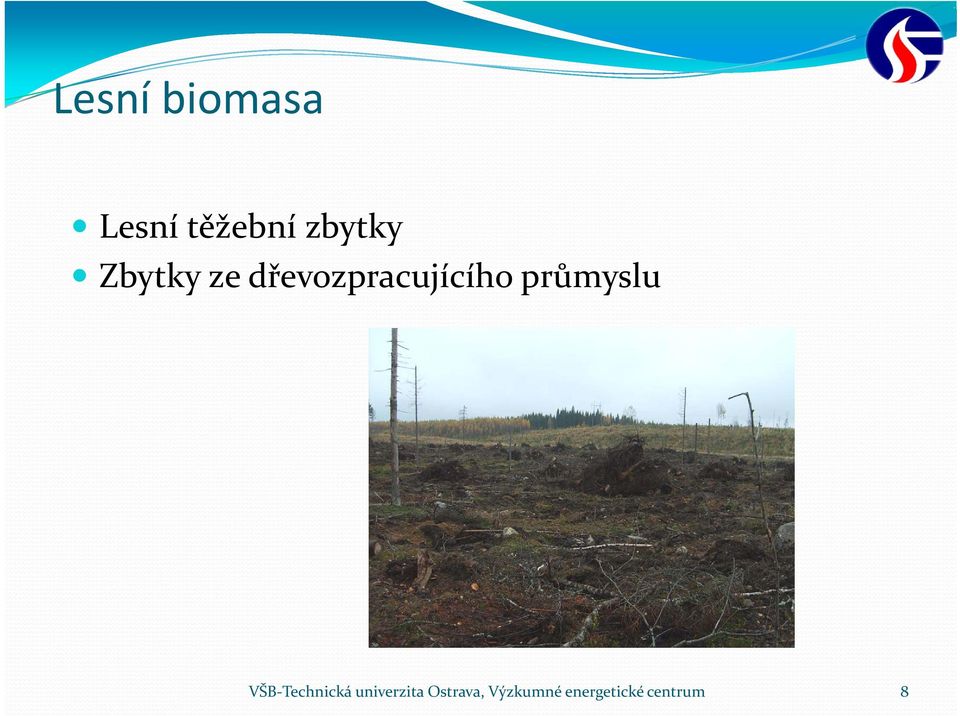 dřevozpracujícího průmyslu VŠB