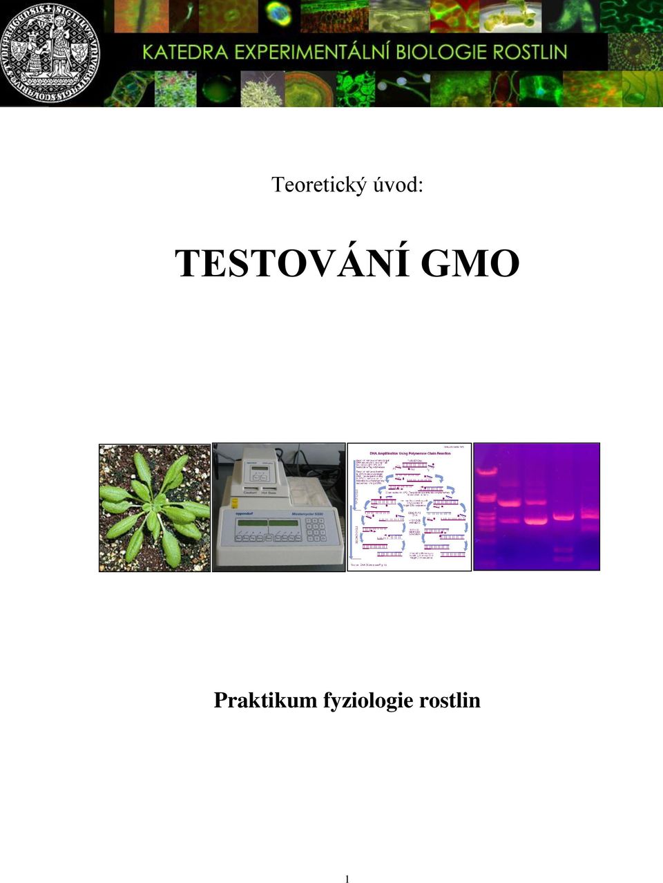 GMO Praktikum