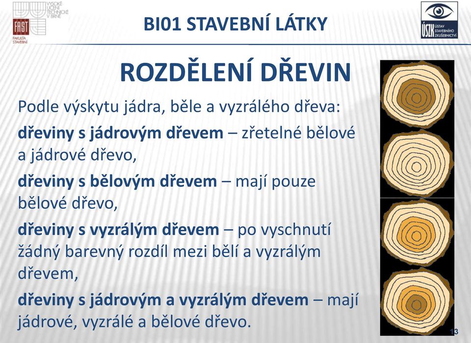 dřevo, dřeviny s vyzrálým dřevem po vyschnutí žádný barevný rozdíl mezi bělí a