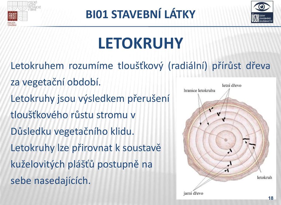 Letokruhy jsou výsledkem přerušení tloušťkového růstu stromu v