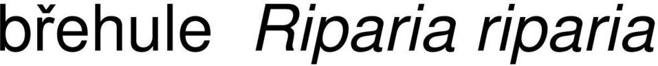riparia