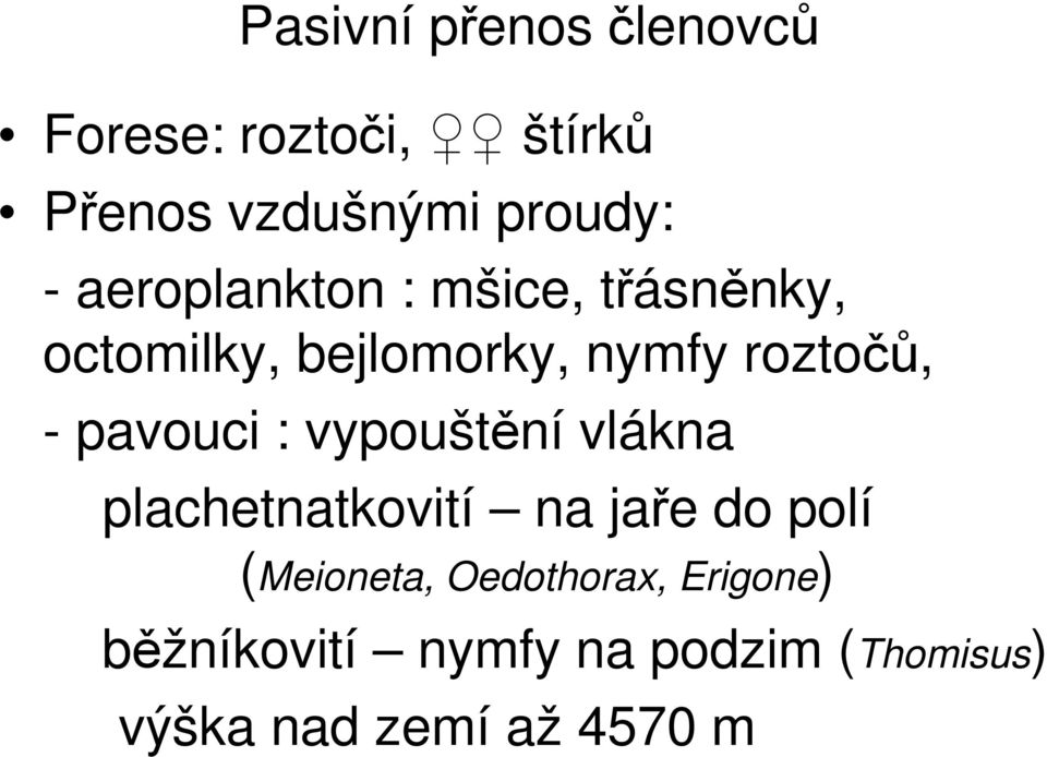 pavouci : vypouštění vlákna plachetnatkovití na jaře do polí (Meioneta,